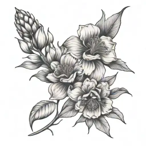 July And August Birth Flower Blossoming