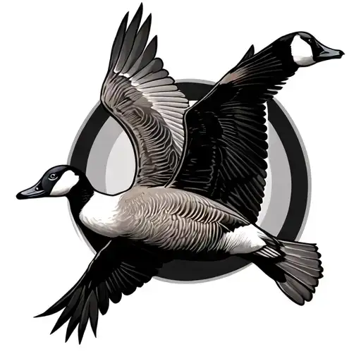 Geese Flying
