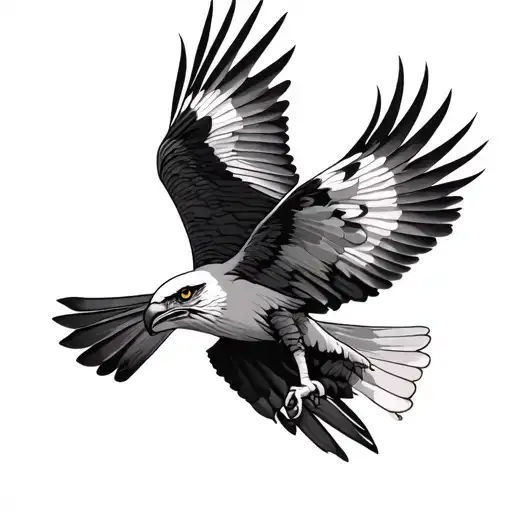 Red Kite