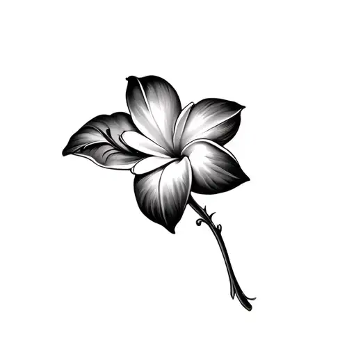 Plumeria Flower Intertwined