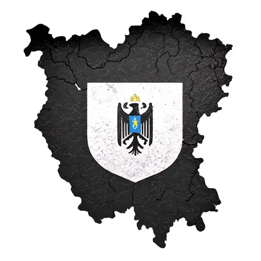 Bosnia Map With Flag