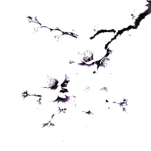 Sakura Tree Branch And Flowers