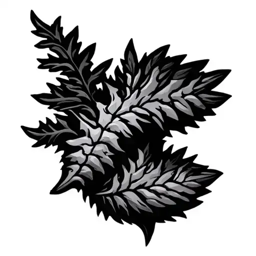 Fir