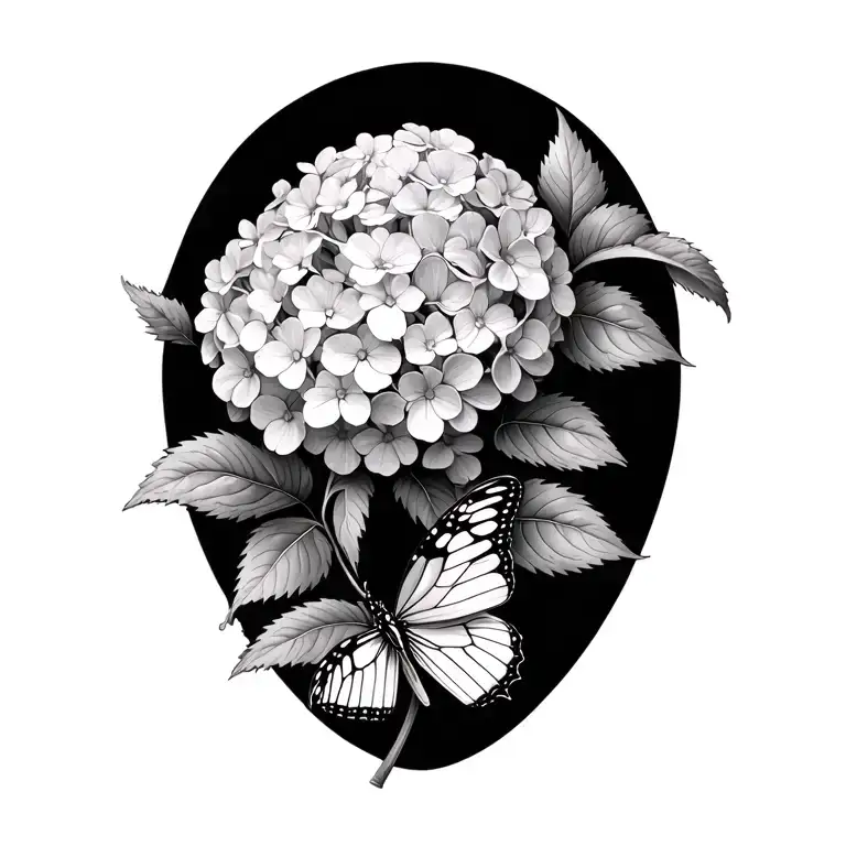 Hydrangeas And Butterfly Resting