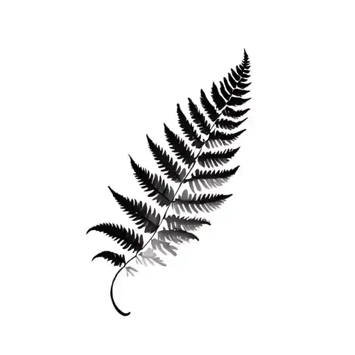 Fern Leaf And Spiral Merging