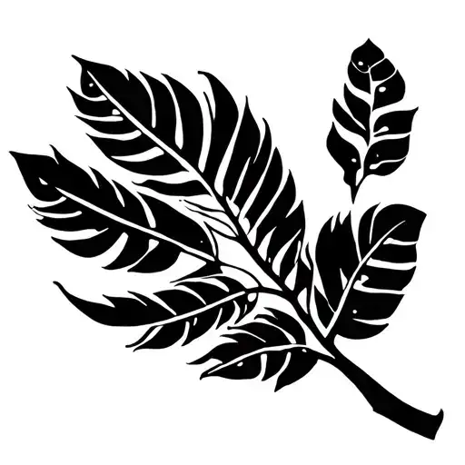 Palmier Guadeloupe Island