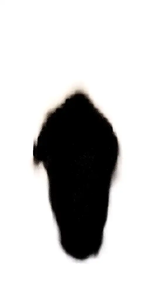 Black Panther Walking Along