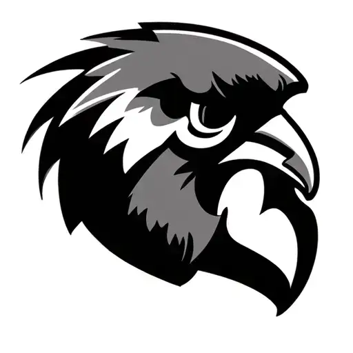 Iowa Hawkeye Football