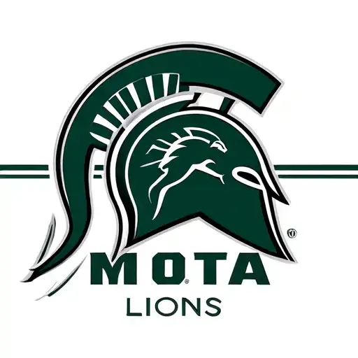 Michigan State Spartans Detroit Lions