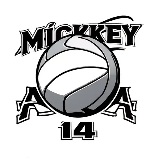 Volleyball With The Number 14 And The Name Mickey Underneath The Volleyball