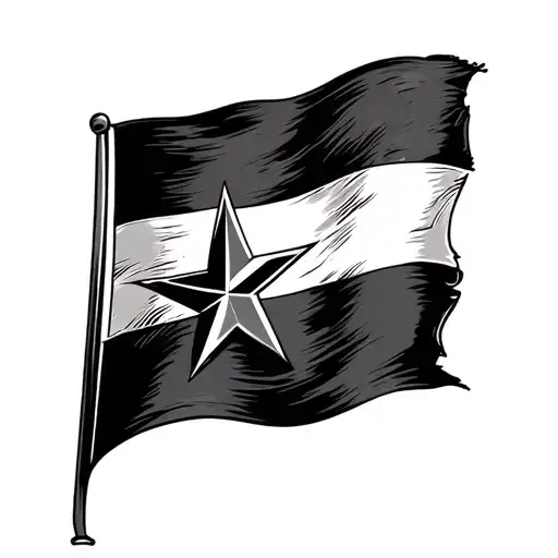 Texas Flag