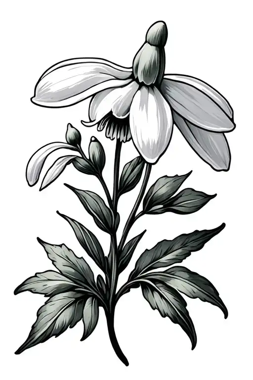 Snowdrop Larkspur Marigold