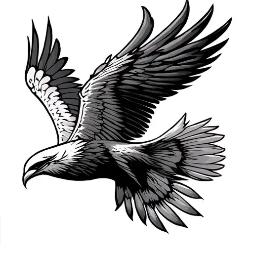 Cherokee Thunderbird Flying