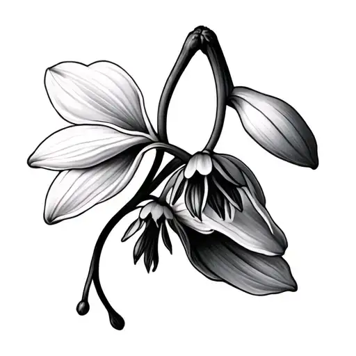 Small Minimal Delicate Snowdrop Flower