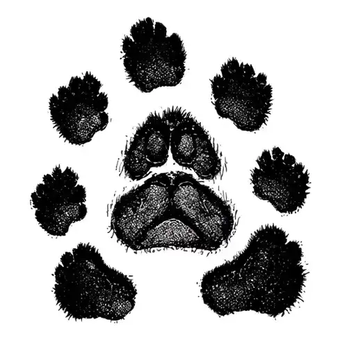 5 Cat Pawprints And 1 Squirrel Pawprint