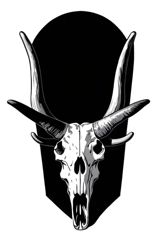 Longhorn Skull