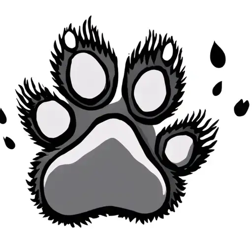 Mountain Dog Paw Print