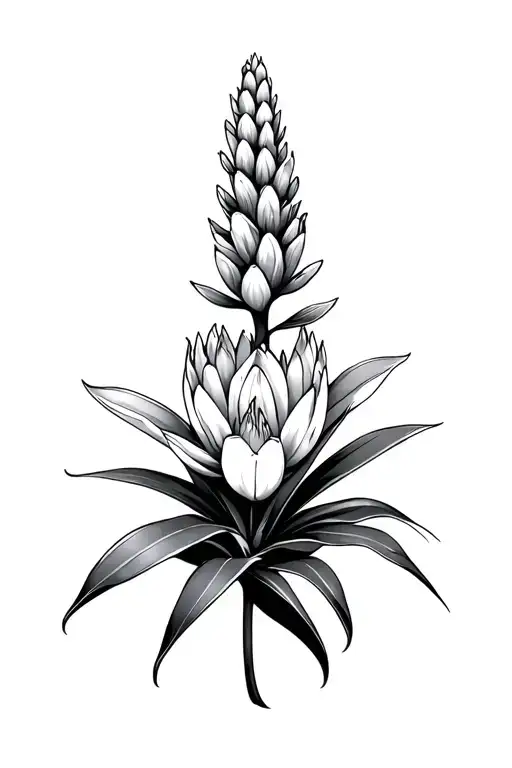 Yucca Flower Blooming