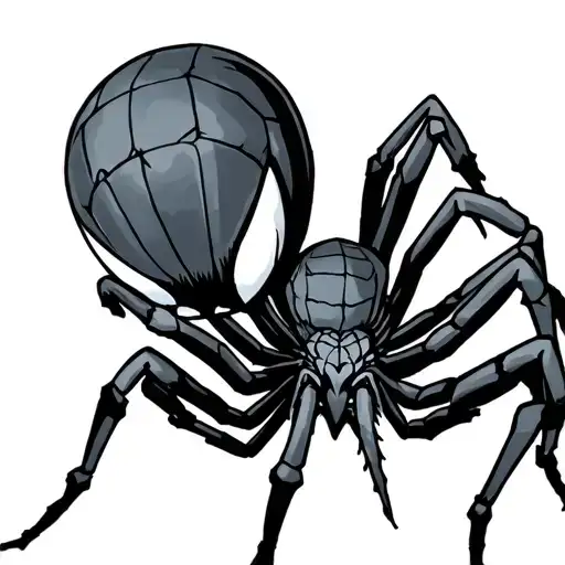 Spider With Number Of The Hunter X Hunter Brigade