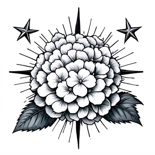 Sunrays 3 Stars And A Hydrangea