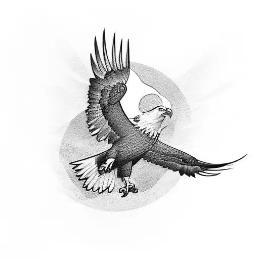 An Eagle Flying Arround The Sun