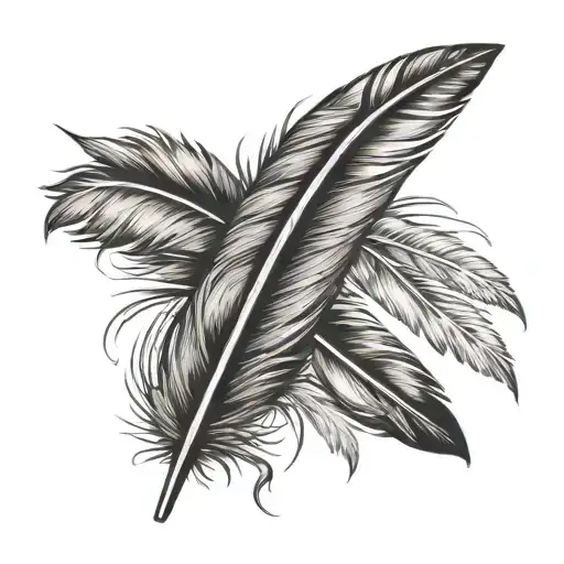 An Indian Feather
