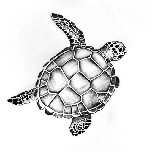 Sea Turtle