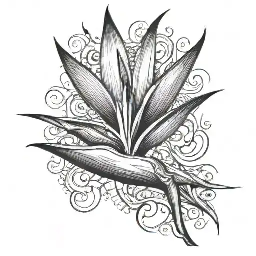 Bird Of Paradise Flower Half Black And Grey Half Color