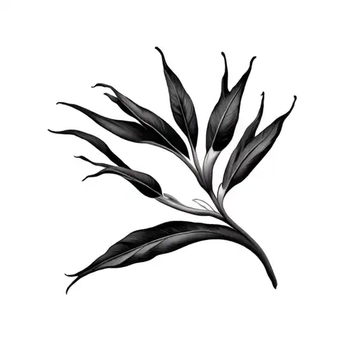 Bird Of Paradise Flower Large Black Leaves