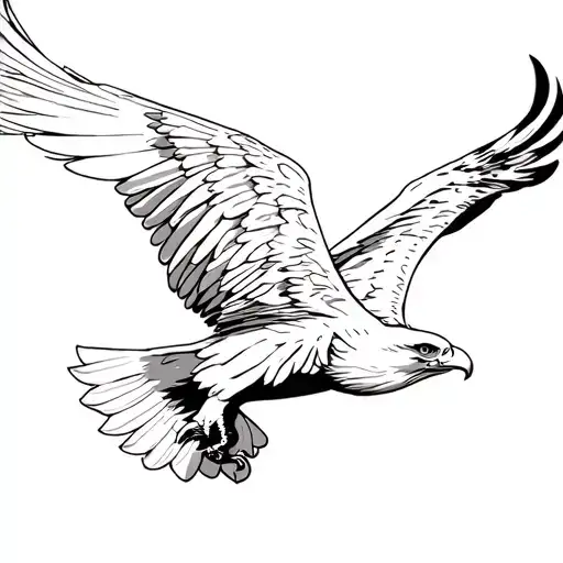 Simple Eagle Soaring Mountain