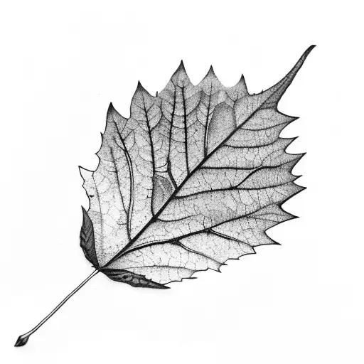 Feminine Leaf