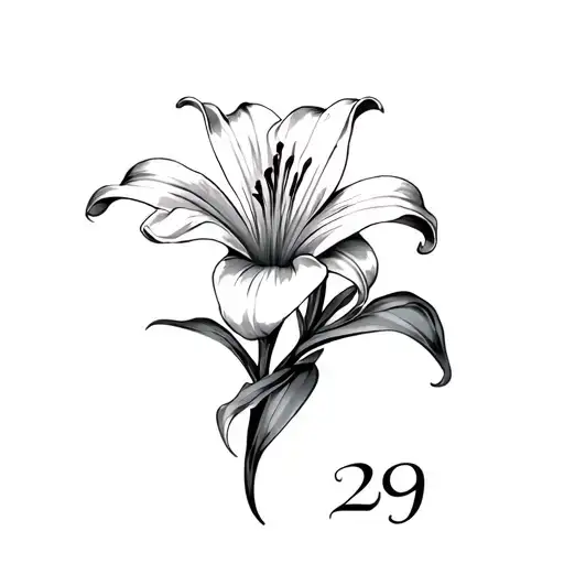 Lily Flower With The Number 29