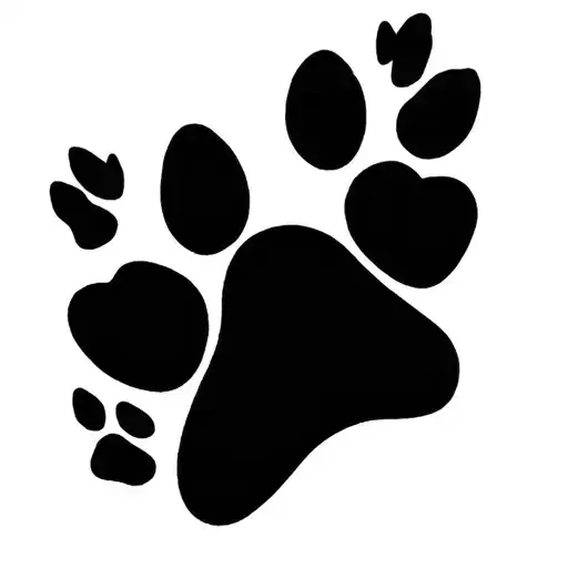 Heart Around Sweet Schnoodle Dog Paw Print
