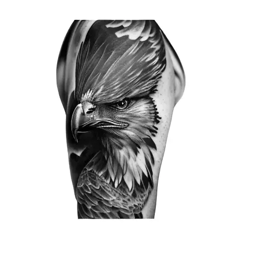 A Motorcycle And An Eagle