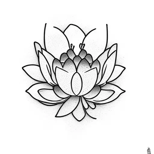 A Lotus Flower Growing From A Rocky Terrain