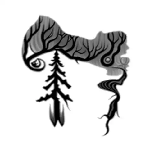 A Tree With Aurora Borealis Above