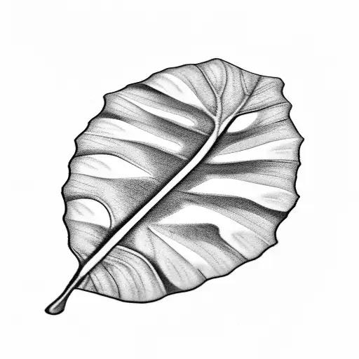 Black White Monstera Leaf