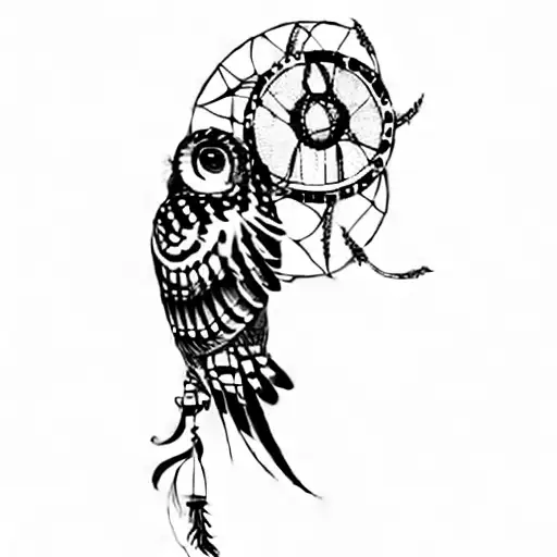 An Owl And A Dream Catcher