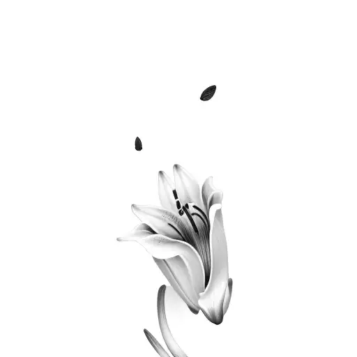 A Black And White Drawing Of A Black And White Drawing Of A Black And White Drawing Of A Lily