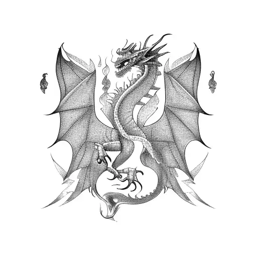 Dragon And Falcon