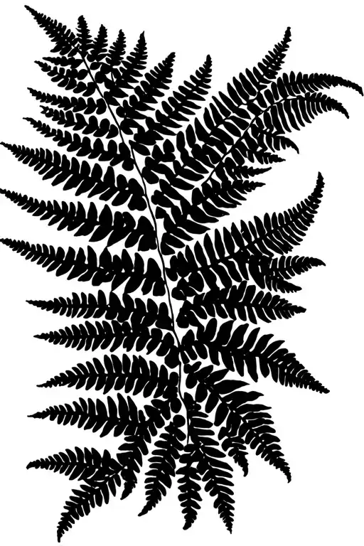 Maiden Hair Fern Leaf