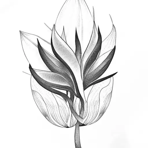 Bird Of Paradise With Surrounding Flowers