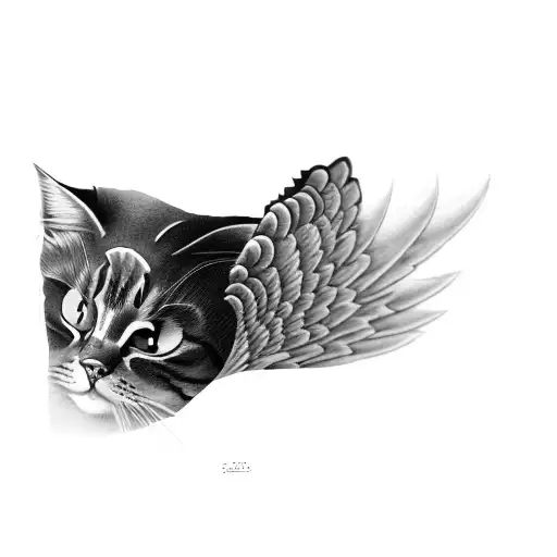 Sfinx Cat With Wings