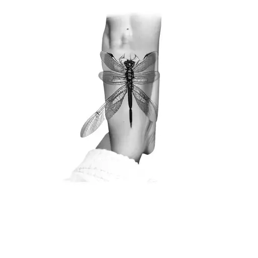 Dragonfly Chest Female