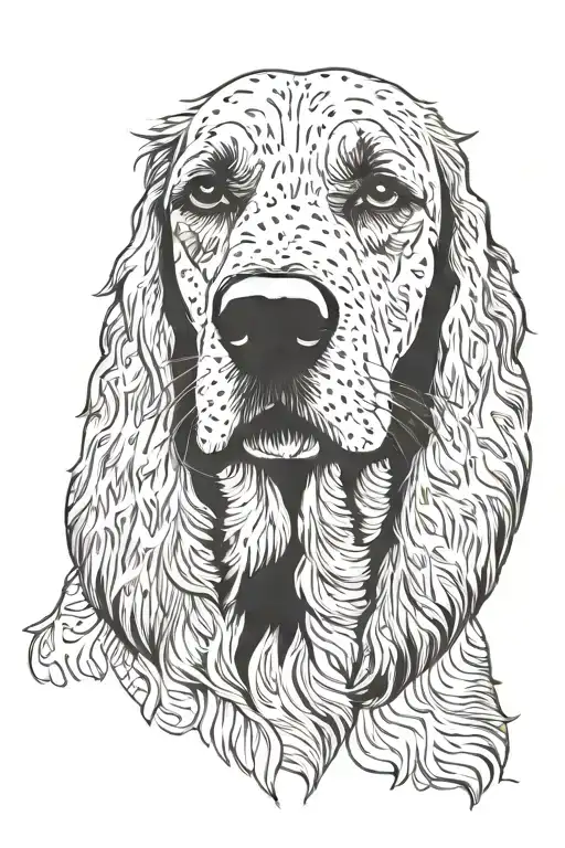 Brittaney Spaniel Dog