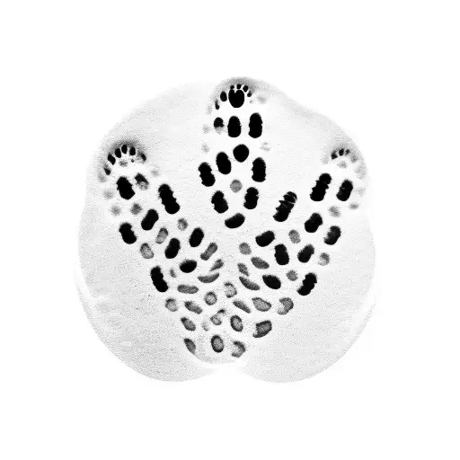 Cat Footprints Infinite Symbol