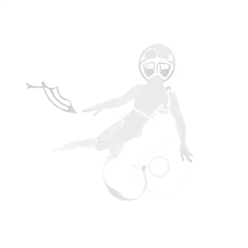 A Scuba Diver In The Dark