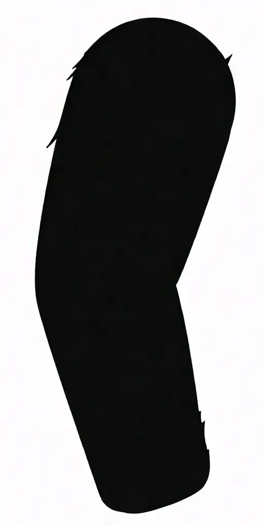 Angry Wolf In The Woods Chasing