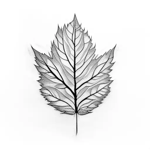 Black And White Leaf Bleeding