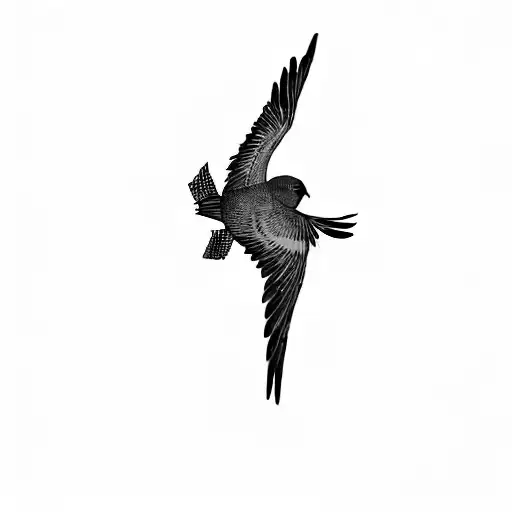 A Bird Flying In The Air